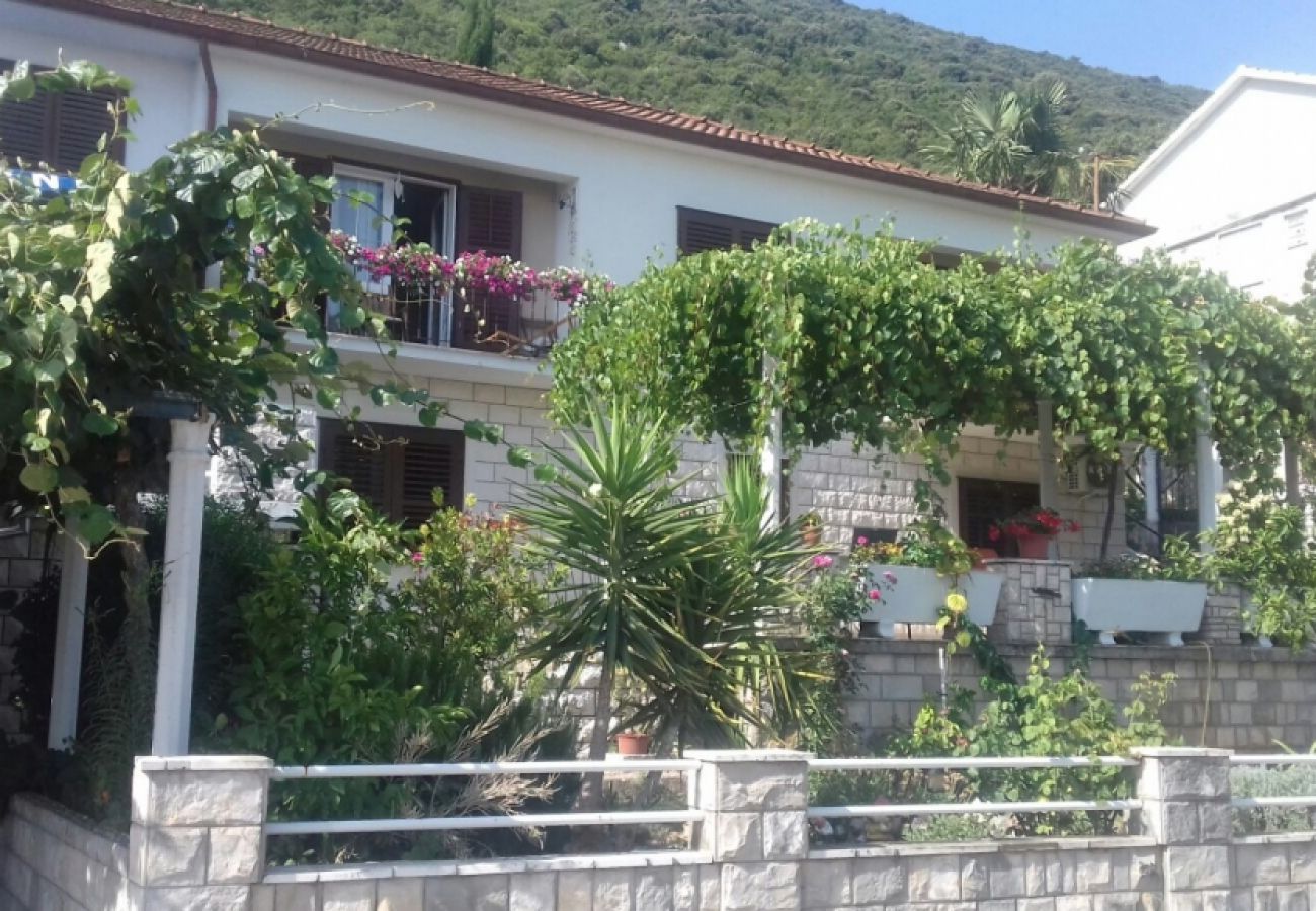 Ferienwohnung in Trpanj - Ferienwohnung in Trpanj mit Meerblick, Terrasse, Klimaanlage, W-LAN (4199-2)