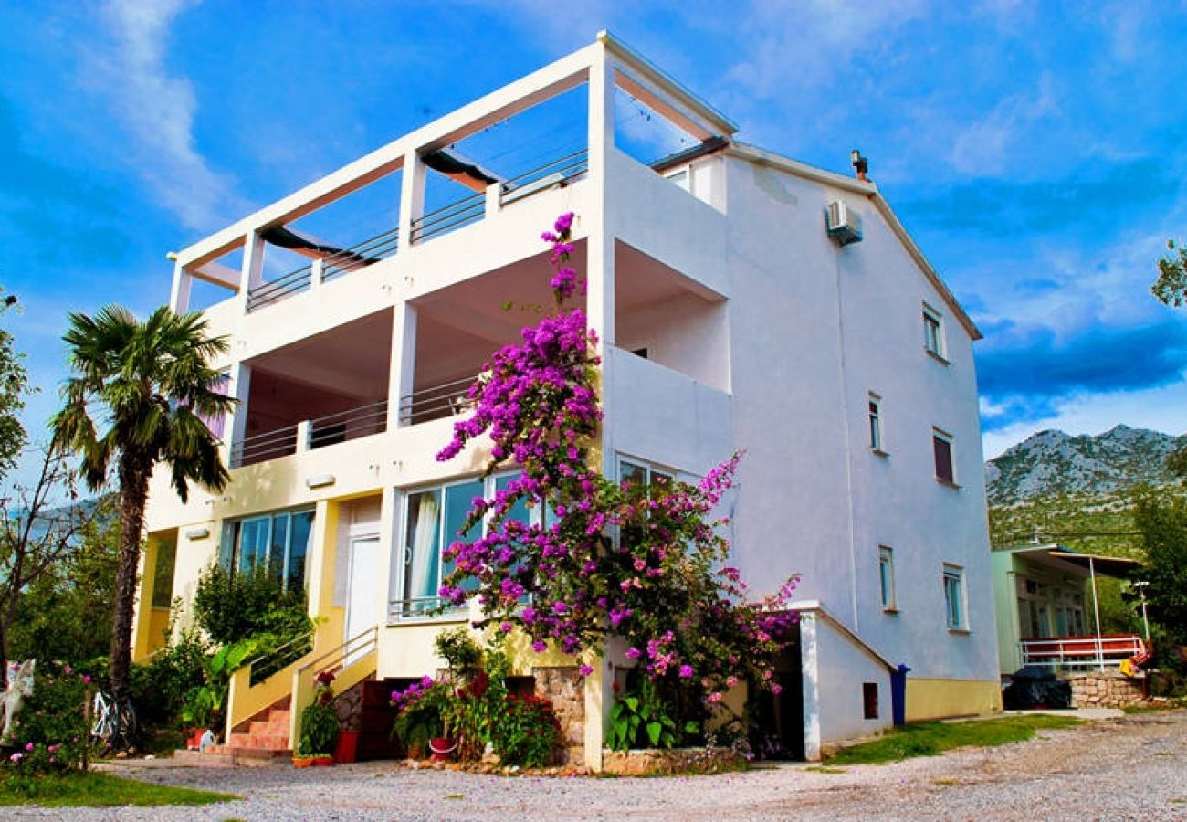 Ferienwohnung in Seline - Ferienwohnung in Seline mit Meerblick, Terrasse, W-LAN, Waschmaschine (4209-2)