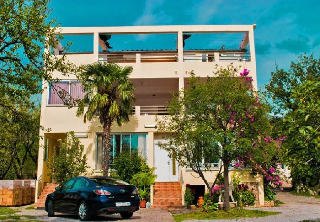 Ferienwohnung in Seline - Ferienwohnung in Seline mit Meerblick, Terrasse, Klimaanlage, W-LAN (4209-3) Ferienwohnung in Seline - Ferienwohnung in Seline mit Meerblick, Terrasse, Klimaanlage, W-LAN (4209-3)