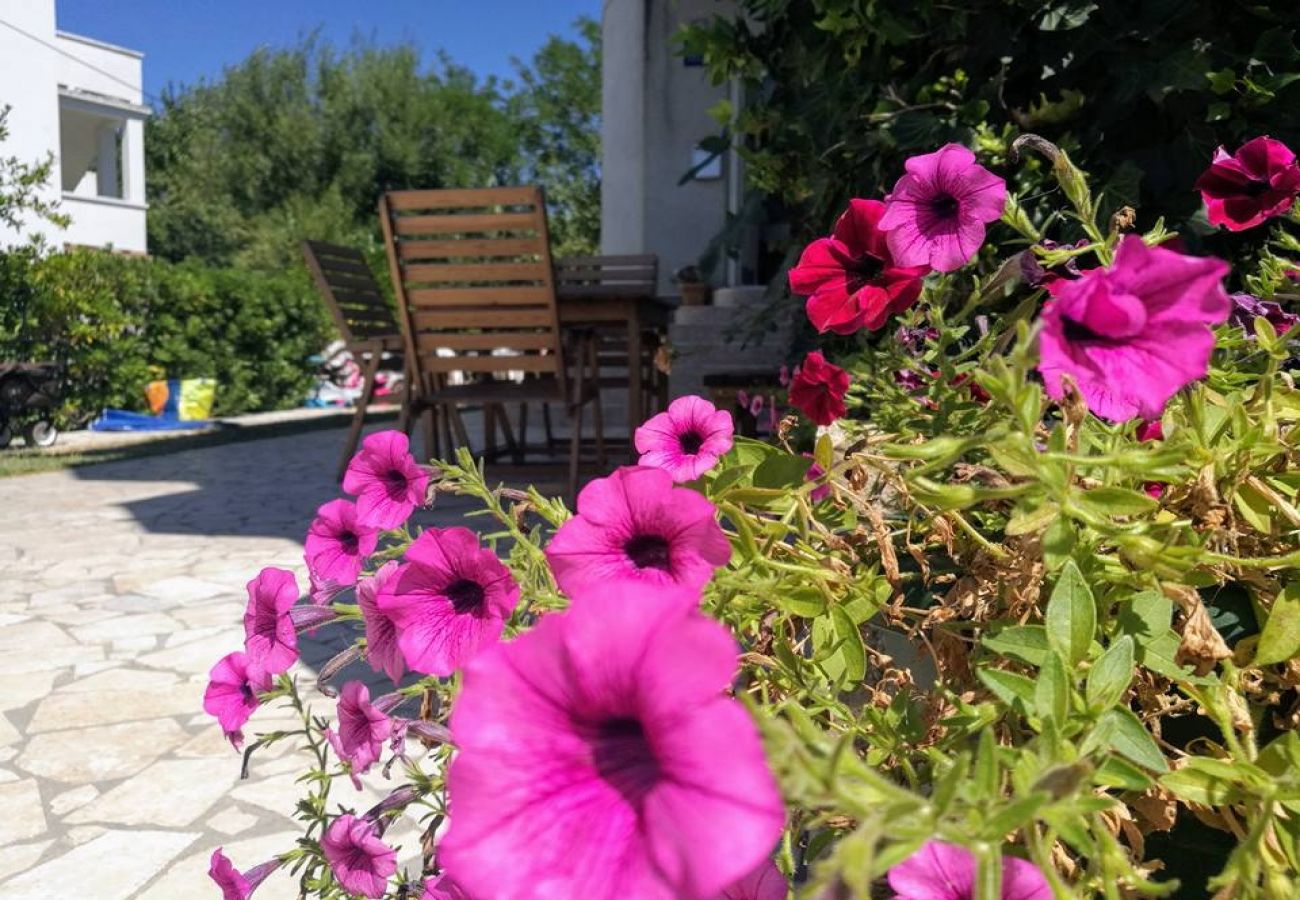 Ferienwohnung in Lopar - Ferienwohnung in Lopar mit Terrasse, Klimaanlage, W-LAN, Spülmaschine (4224-4)