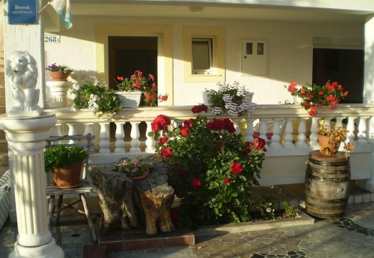 Ferienwohnung in Kampor - Ferienwohnung in Kampor mit Terrasse, W-LAN (4235-4)