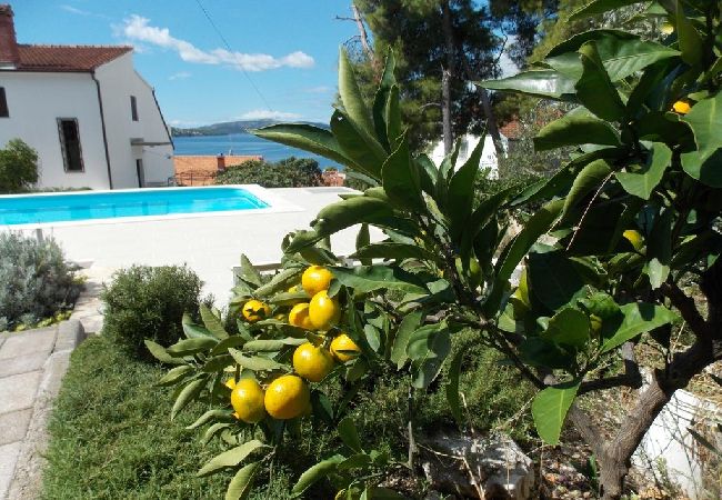 Ferienwohnung in Trogir - Ferienwohnung in Trogir mit Meerblick, Balkon, Klimaanlage, W-LAN (4236-1) Ferienwohnung in Trogir - Ferienwohnung in Trogir mit Meerblick, Balkon, Klimaanlage, W-LAN (4236-1)