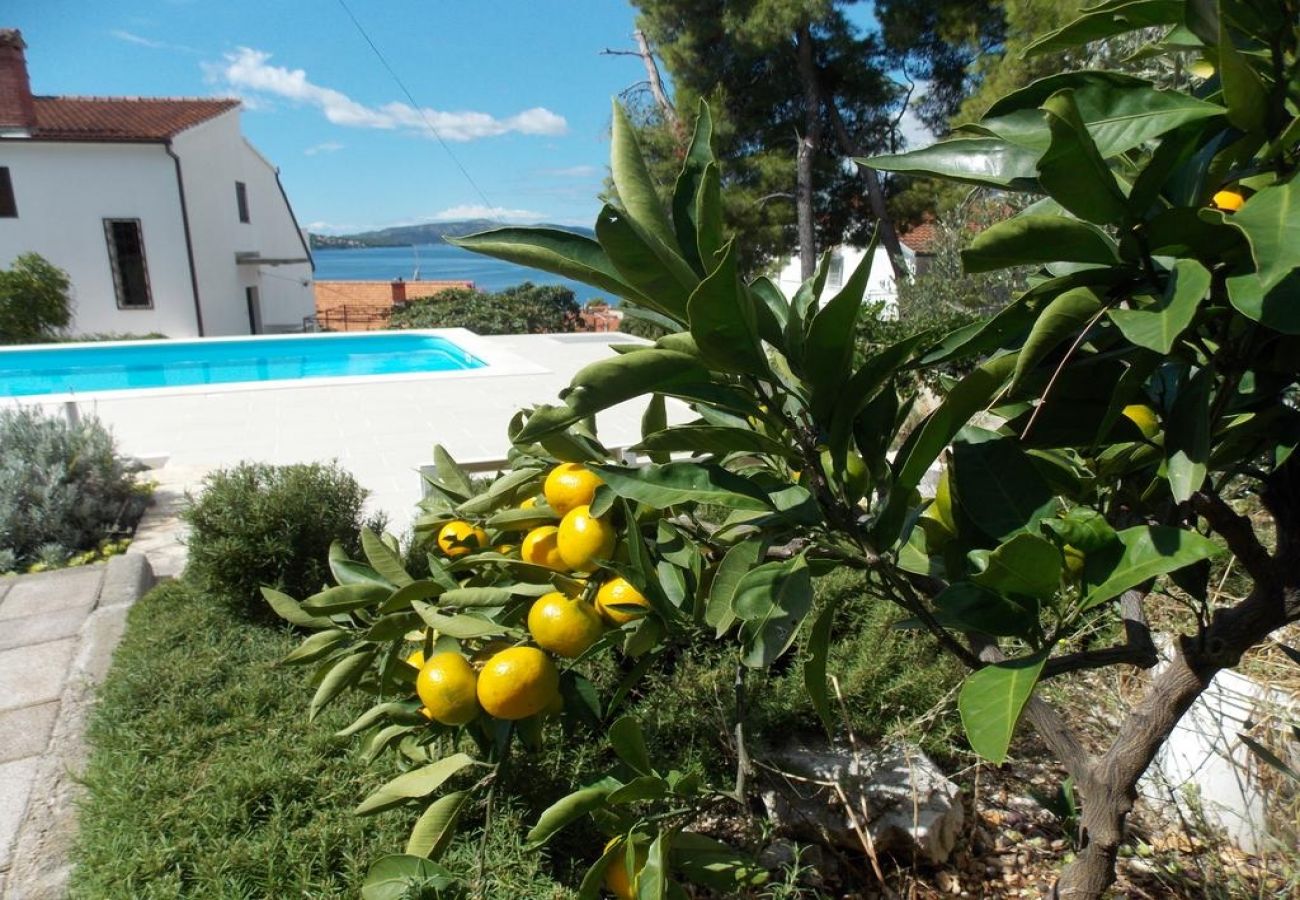 Ferienwohnung in Trogir - Ferienwohnung in Trogir mit Meerblick, Balkon, Klimaanlage, W-LAN (4236-1)