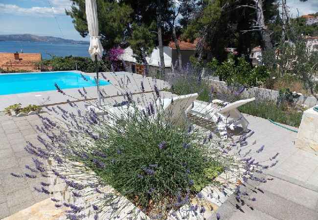 Ferienwohnung in Trogir - Ferienwohnung in Trogir mit Meerblick, Balkon, Klimaanlage, W-LAN (4236-3) Ferienwohnung in Trogir - Ferienwohnung in Trogir mit Meerblick, Balkon, Klimaanlage, W-LAN (4236-3)