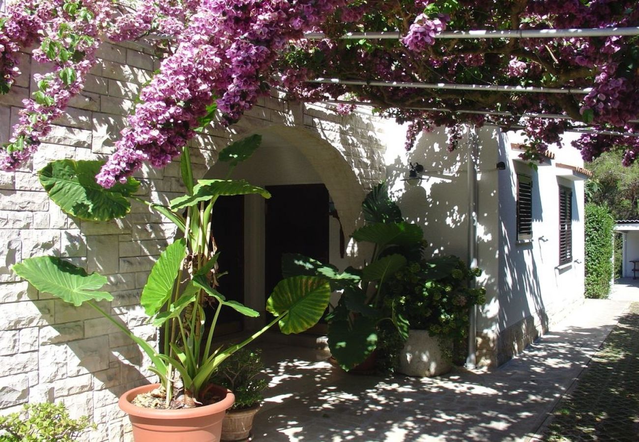 Ferienwohnung in Mali Lošinj - Ferienwohnung in Mali Lošinj mit Terrasse, Klimaanlage, W-LAN, Waschmaschine (4241-1)