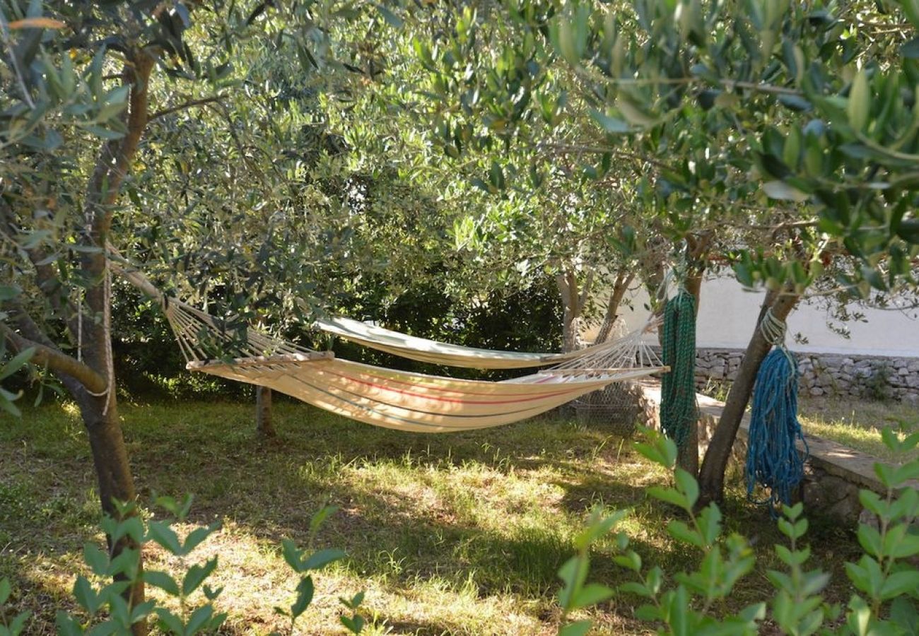 Ferienwohnung in Mali Lošinj - Ferienwohnung in Mali Lošinj mit Terrasse, Klimaanlage, W-LAN, Waschmaschine (4241-1)