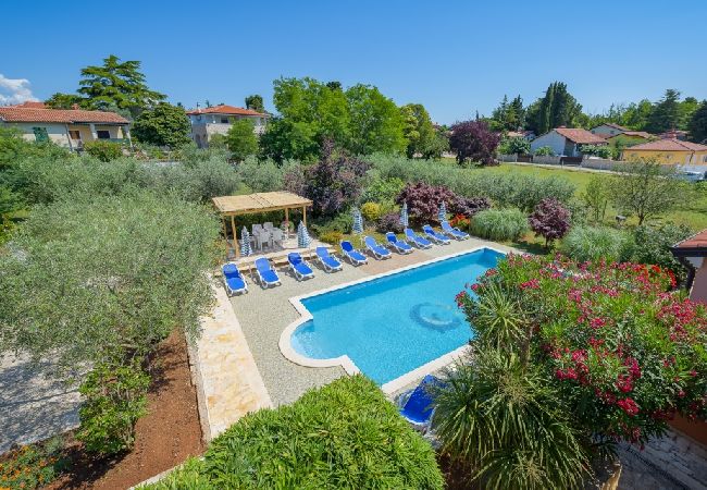 Ferienwohnung in Bašanija - Ferienwohnung in Bašanija mit Meerblick, Terrasse, Klimaanlage, W-LAN (113-3) Ferienwohnung in Bašanija - Ferienwohnung in Bašanija mit Meerblick, Terrasse, Klimaanlage, W-LAN (113-3)