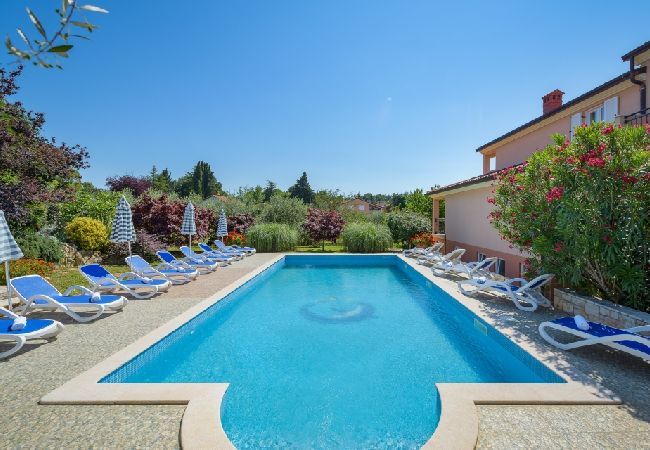 Ferienwohnung in Bašanija - Ferienwohnung in Bašanija mit Meerblick, Terrasse, Klimaanlage, W-LAN (113-3) Ferienwohnung in Bašanija - Ferienwohnung in Bašanija mit Meerblick, Terrasse, Klimaanlage, W-LAN (113-3)