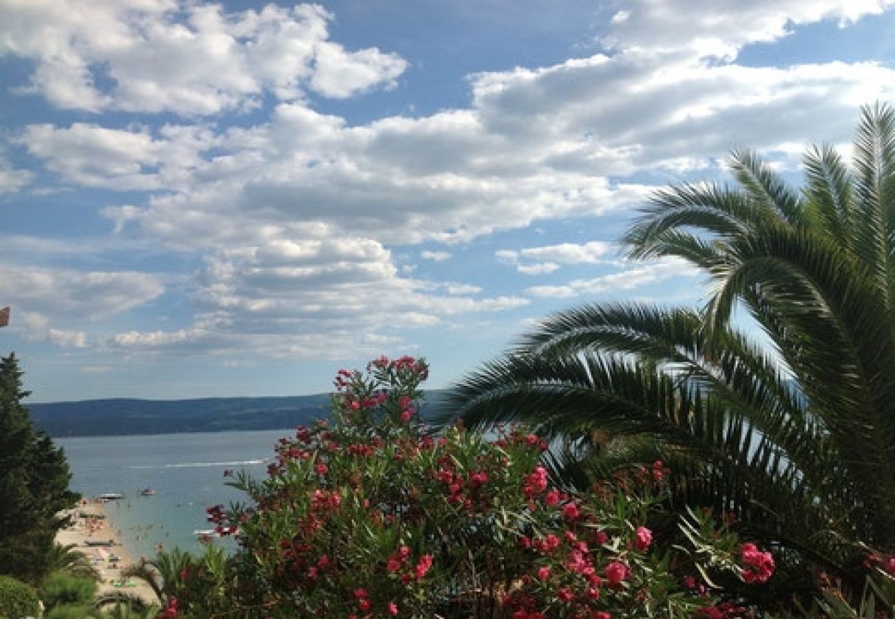 Ferienwohnung in Stanici - Ferienwohnung in Stanići mit Meerblick, Balkon, Klimaanlage, W-LAN (3782-8)