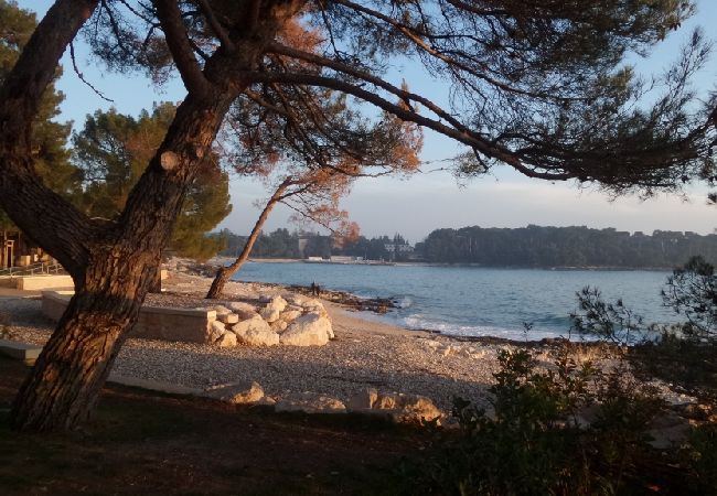 Ferienwohnung in Rovinj - Ferienwohnung in Rovinj mit Terrasse, Klimaanlage, W-LAN, Spülmaschine (4286-2) Ferienwohnung in Rovinj - Ferienwohnung in Rovinj mit Terrasse, Klimaanlage, W-LAN, Spülmaschine (4286-2)