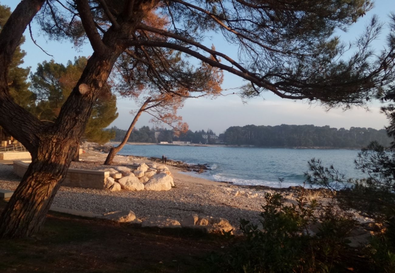 Ferienwohnung in Rovinj - Ferienwohnung in Rovinj mit Terrasse, Klimaanlage, W-LAN, Spülmaschine (4286-2)