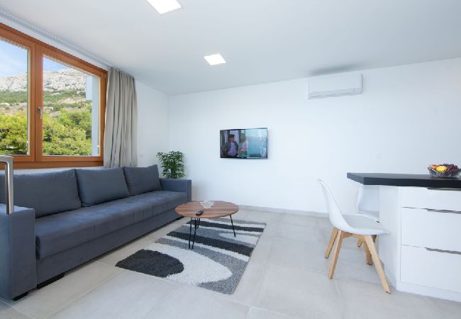 Ferienwohnung in Brela - Ferienwohnung in Brela mit Meerblick, Terrasse, Klimaanlage, W-LAN (3524-6) Ferienwohnung in Brela - Ferienwohnung in Brela mit Meerblick, Terrasse, Klimaanlage, W-LAN (3524-6)