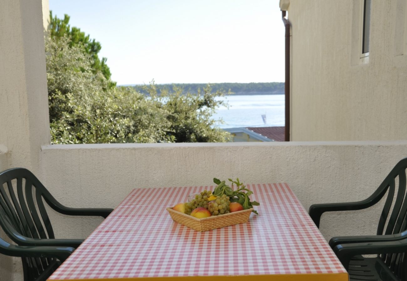 Ferienwohnung in Rab - Ferienwohnung in Barbat mit Meerblick, Balkon, Klimaanlage (660-5)