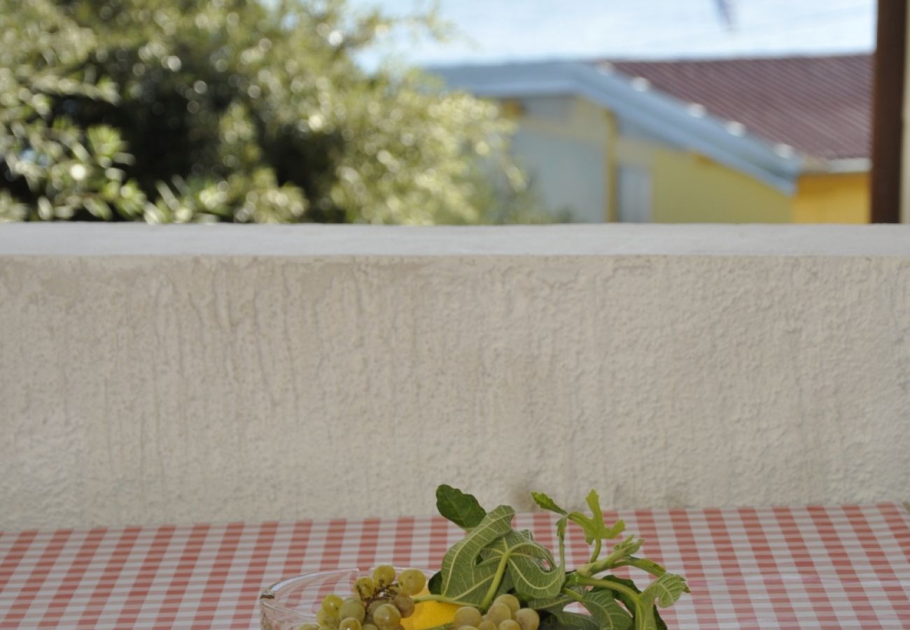 Ferienwohnung in Rab - Ferienwohnung in Barbat mit Meerblick, Balkon, Klimaanlage (660-5)