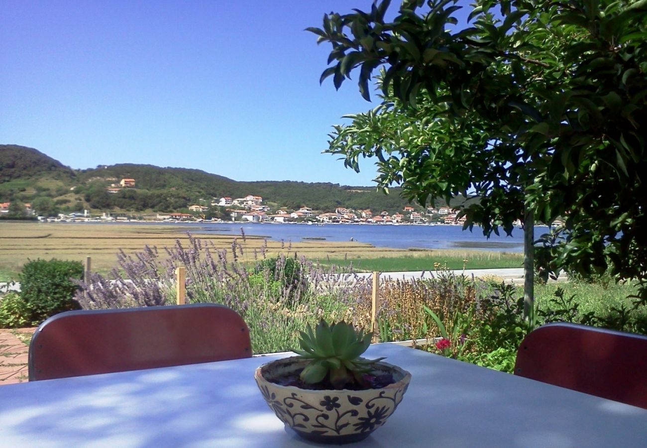 Ferienwohnung in Supetarska Draga - Ferienwohnung in Supetarska Draga mit Meerblick, Balkon, Klimaanlage, W-LAN (4325-1)