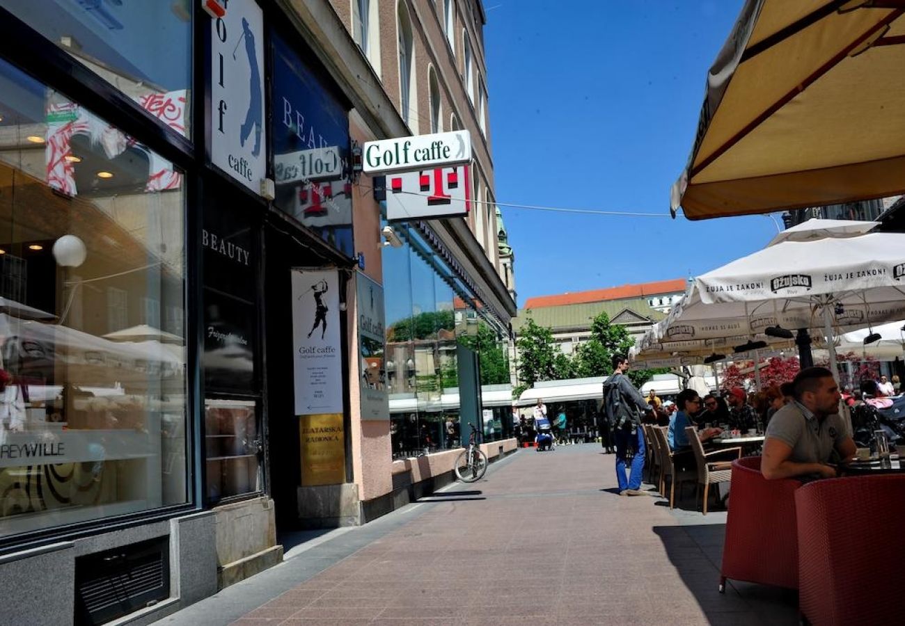 Ferienwohnung in Zagreb - Ferienwohnung in Zagreb mit Klimaanlage, W-LAN, Waschmaschine, Spülmaschine (4332-1)