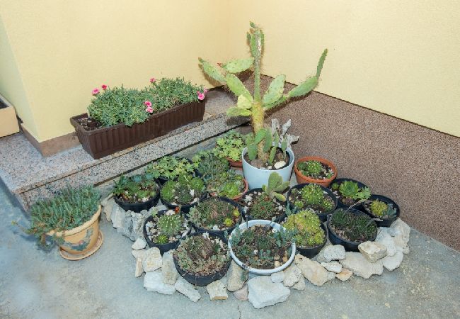 Ferienwohnung in Lopar - Ferienwohnung in Lopar mit Balkon, Klimaanlage, W-LAN, Waschmaschine (73-3) Ferienwohnung in Lopar - Ferienwohnung in Lopar mit Balkon, Klimaanlage, W-LAN, Waschmaschine (73-3)