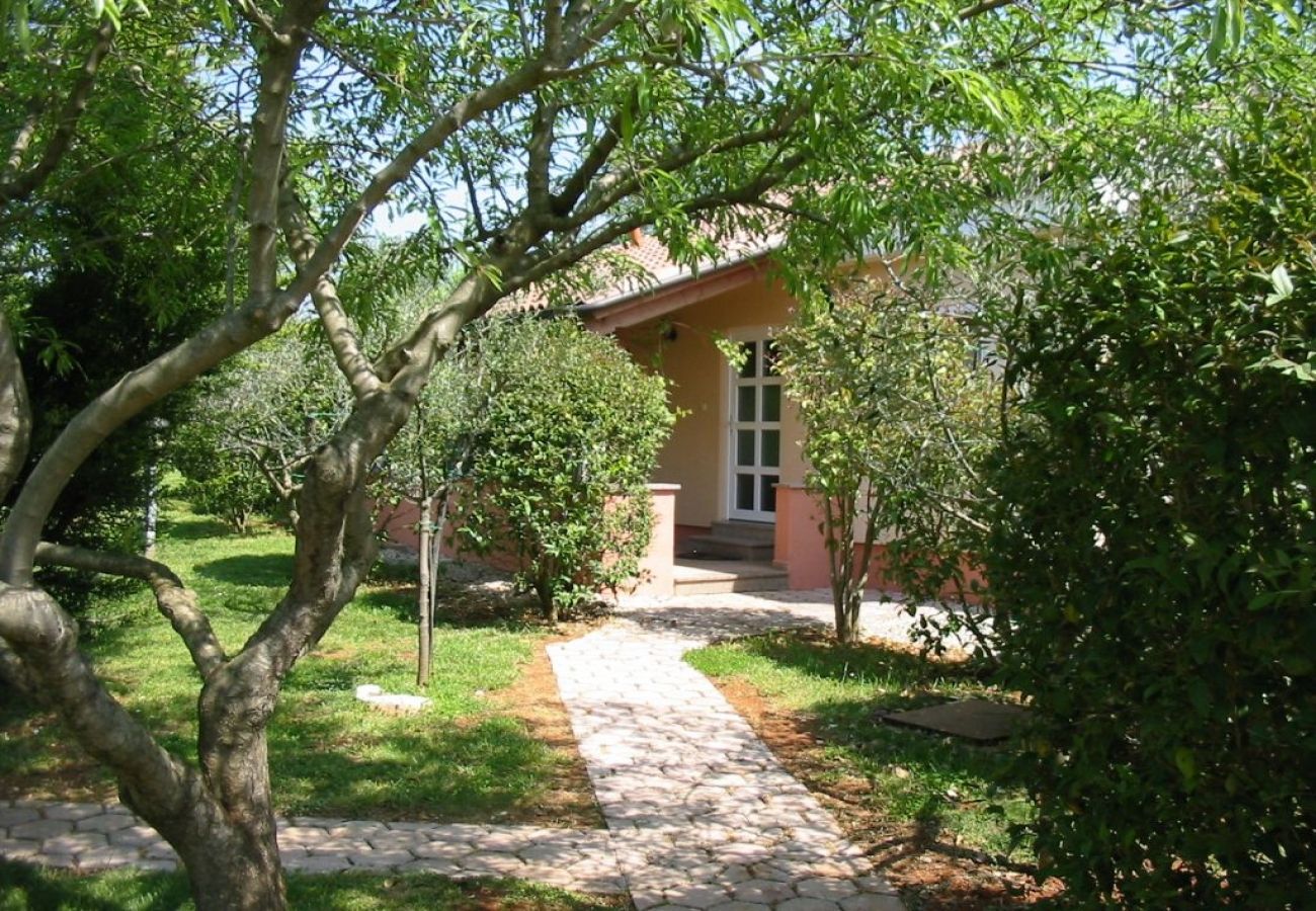 Ferienhaus in Porec - Ferienhaus in Poreč mit Terrasse, Klimaanlage, W-LAN, Spülmaschine (4400-6)