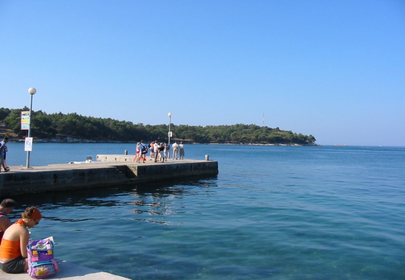 Ferienhaus in Porec - Ferienhaus in Poreč mit Terrasse, Klimaanlage, W-LAN, Spülmaschine (4400-6)