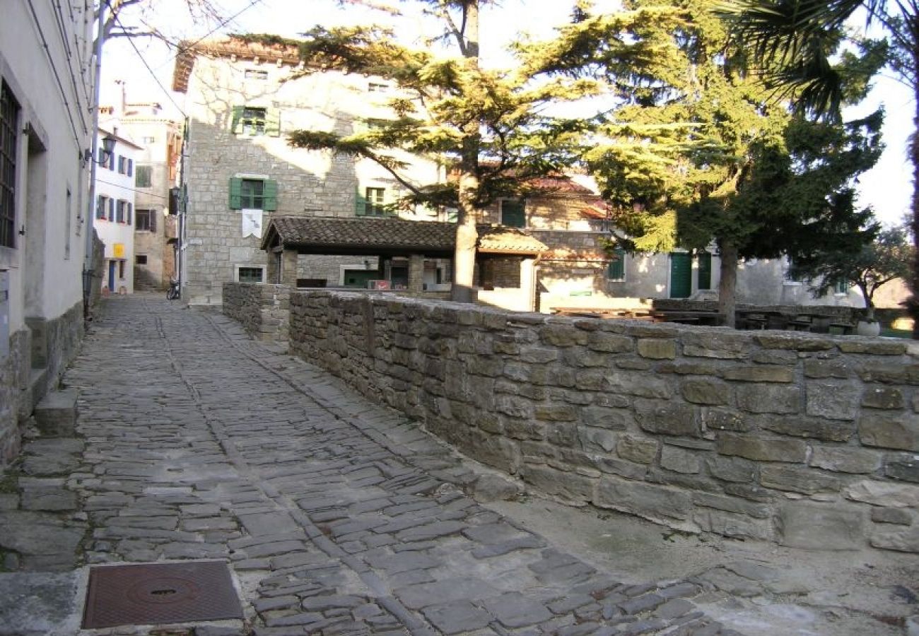 Ferienhaus in Porec - Ferienhaus in Poreč mit Terrasse, Klimaanlage, W-LAN, Spülmaschine (4400-6)