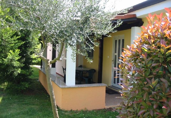 Ferienhaus in Porec - Ferienhaus in Poreč mit Terrasse, Klimaanlage, W-LAN, Spülmaschine (4400-8) Ferienhaus in Porec - Ferienhaus in Poreč mit Terrasse, Klimaanlage, W-LAN, Spülmaschine (4400-8)