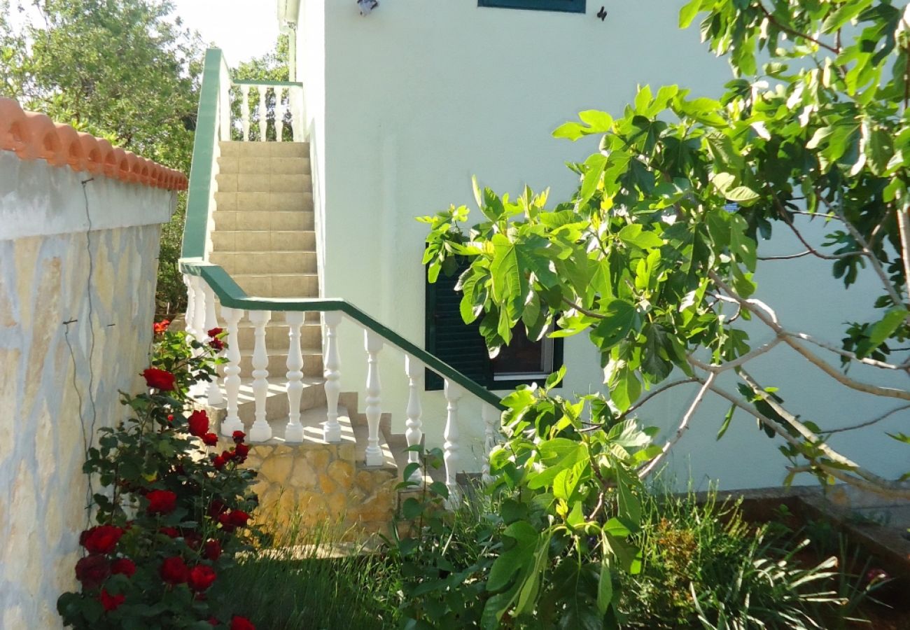 Ferienwohnung in Sali - Ferienwohnung in Sali mit Meerblick, Balkon, Klimaanlage, W-LAN (4413-2)