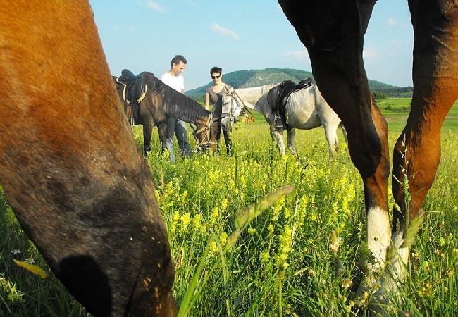 Ferienwohnung in Rakovica - Ferienwohnung in Rakovica mit W-LAN (601-3) Ferienwohnung in Rakovica - Ferienwohnung in Rakovica mit W-LAN (601-3)