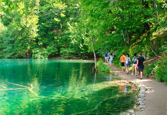 Ferienwohnung in Rakovica - Ferienwohnung in Rakovica mit W-LAN (601-3) Ferienwohnung in Rakovica - Ferienwohnung in Rakovica mit W-LAN (601-3)