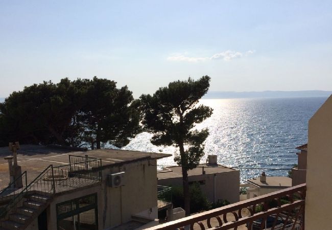 Ferienwohnung in Podgora - Ferienwohnung in Podgora mit Meerblick, Terrasse, Klimaanlage, W-LAN (4492-5) Ferienwohnung in Podgora - Ferienwohnung in Podgora mit Meerblick, Terrasse, Klimaanlage, W-LAN (4492-5)
