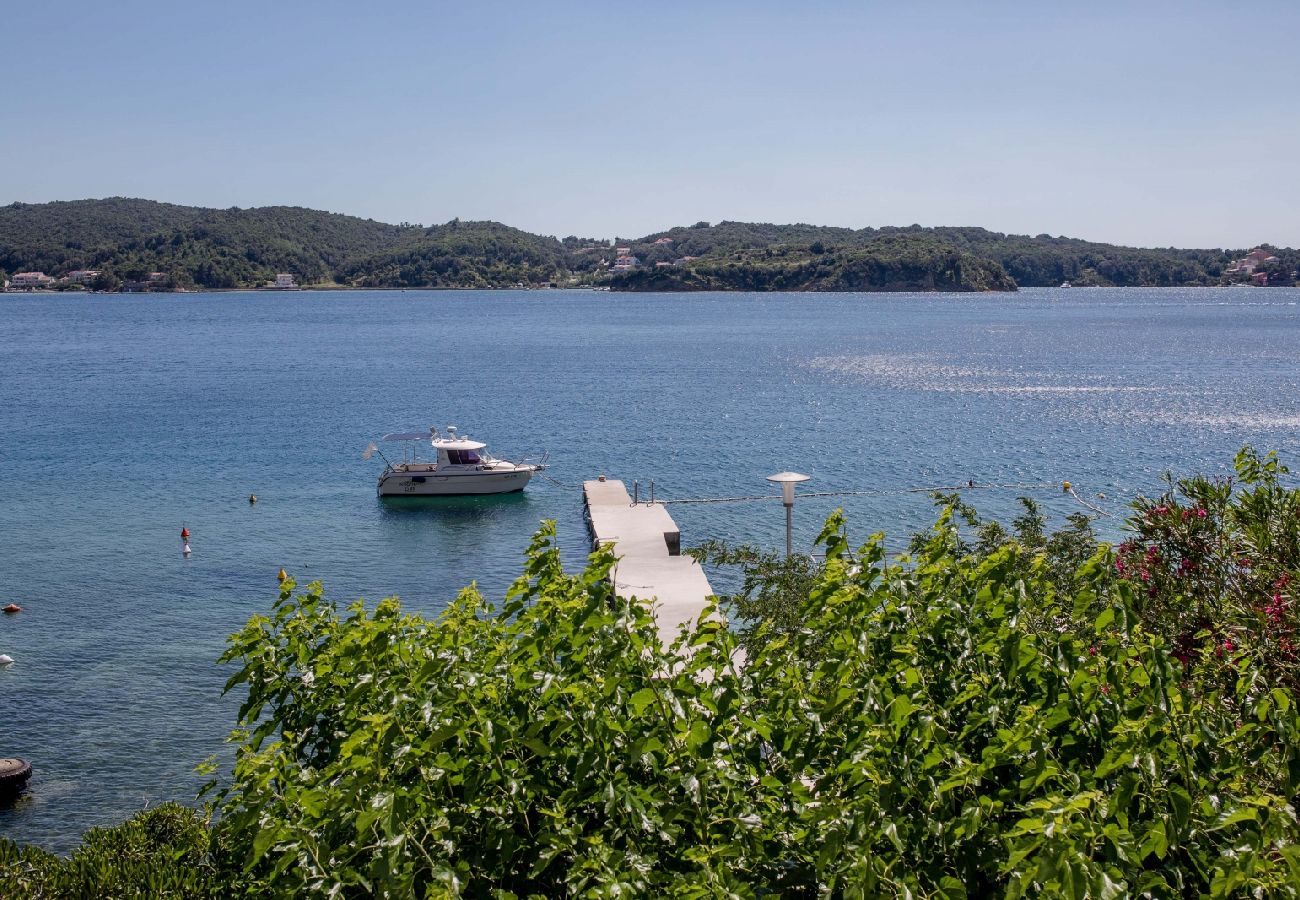 Ferienwohnung in Supetarska Draga - Ferienwohnung in Supetarska Draga mit Meerblick, Balkon, Klimaanlage, W-LAN (4551-1)