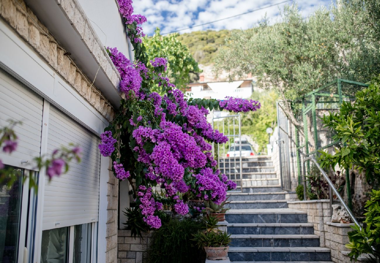 Ferienwohnung in Supetarska Draga - Ferienwohnung in Supetarska Draga mit Meerblick, Balkon, Klimaanlage, W-LAN (4551-1)