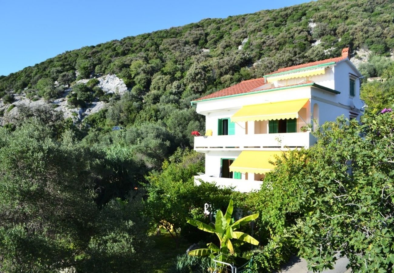 Ferienwohnung in Supetarska Draga - Ferienwohnung in Supetarska Draga mit Meerblick, Terrasse, Klimaanlage, W-LAN (4552-6)