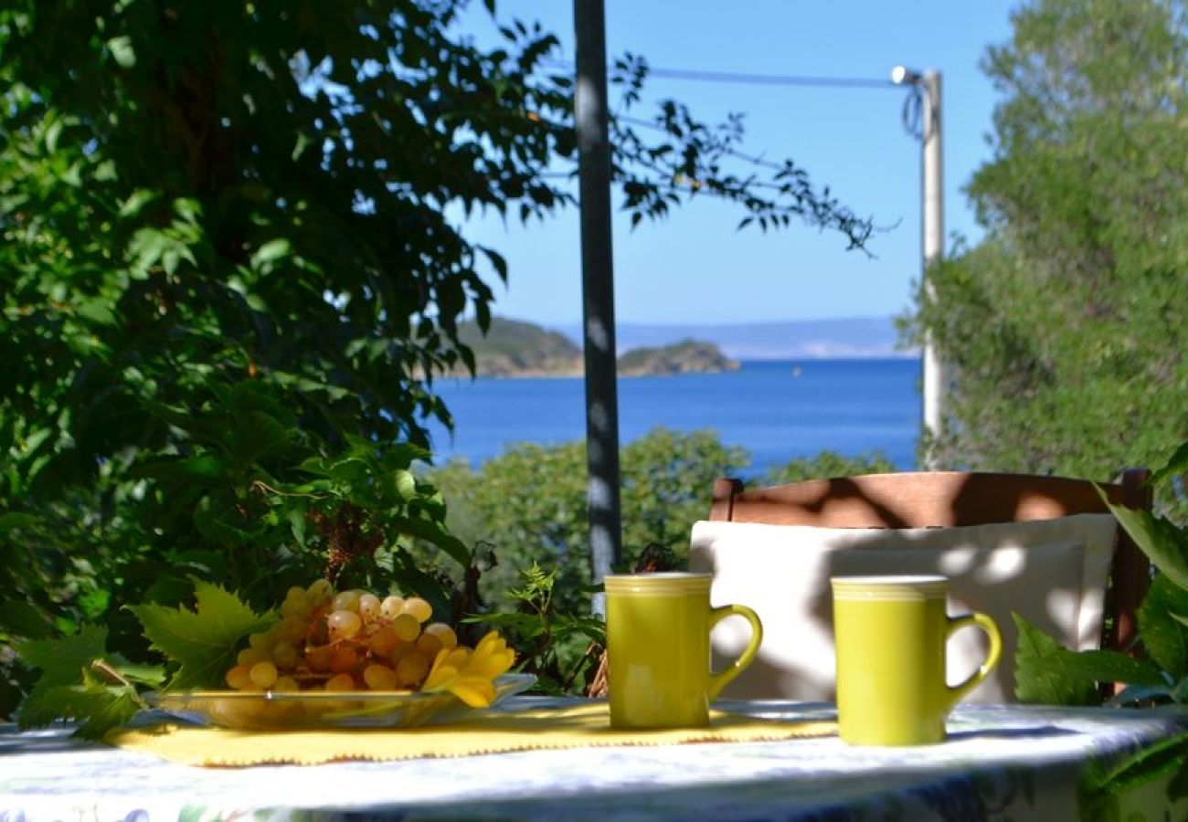 Ferienwohnung in Supetarska Draga - Ferienwohnung in Supetarska Draga mit Meerblick, Terrasse, Klimaanlage, W-LAN (4552-6)