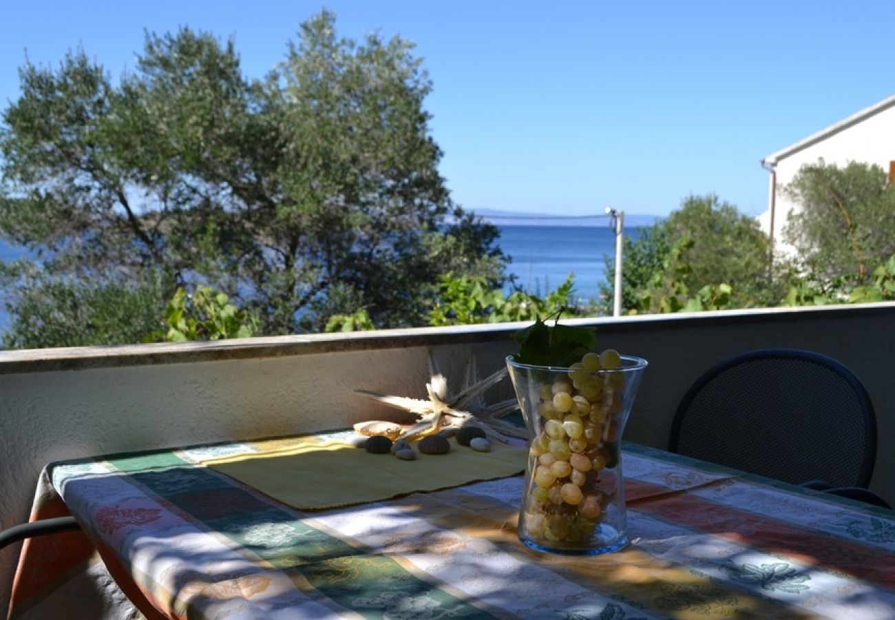 Ferienwohnung in Supetarska Draga - Ferienwohnung in Supetarska Draga mit Meerblick, Terrasse, Klimaanlage, W-LAN (4552-8)