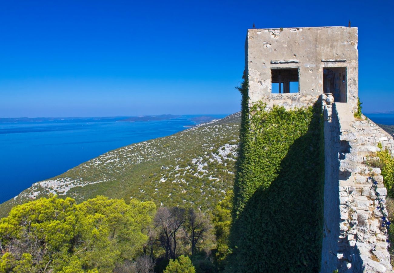 Ferienwohnung in Ždrelac - Ferienwohnung in Ždrelac mit Meerblick, Balkon, Klimaanlage, W-LAN (4561-1)