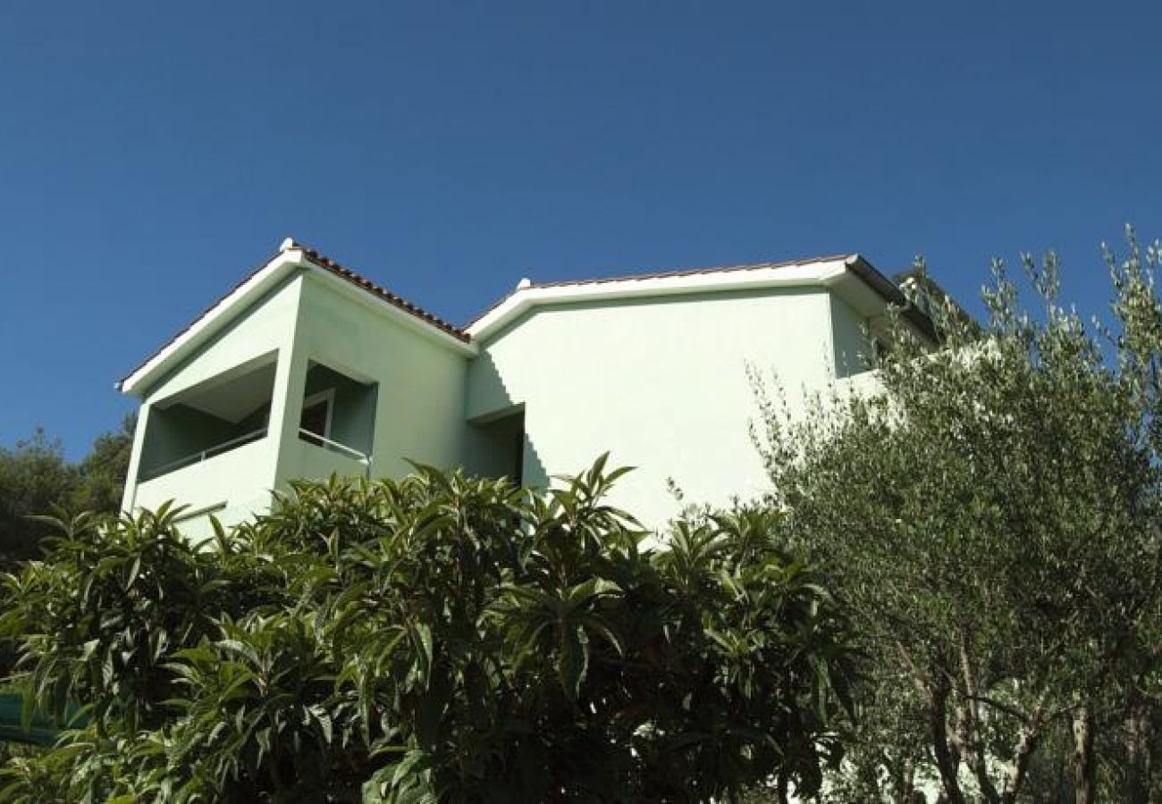 Ferienwohnung in Ždrelac - Ferienwohnung in Ždrelac mit Meerblick, Loggia, Klimaanlage, W-LAN (4565-1)