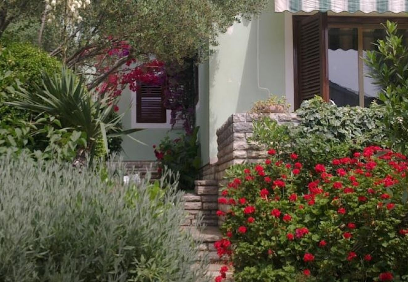 Ferienwohnung in Ždrelac - Ferienwohnung in Ždrelac mit Meerblick, Loggia, Klimaanlage, W-LAN (4565-1)