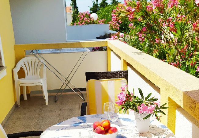 Ferienwohnung in Vir - Ferienwohnung in Vir mit Terrasse, Klimaanlage, W-LAN (4594-1) Ferienwohnung in Vir - Ferienwohnung in Vir mit Terrasse, Klimaanlage, W-LAN (4594-1)