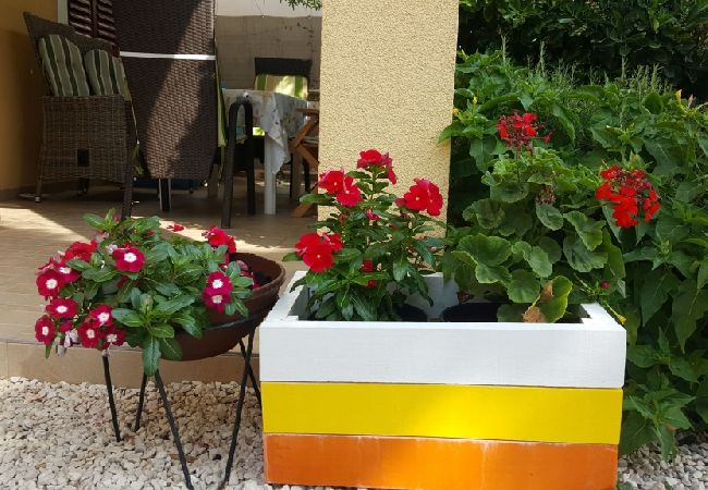 Ferienwohnung in Vir - Ferienwohnung in Vir mit Terrasse, Klimaanlage, W-LAN (4594-2) Ferienwohnung in Vir - Ferienwohnung in Vir mit Terrasse, Klimaanlage, W-LAN (4594-2)