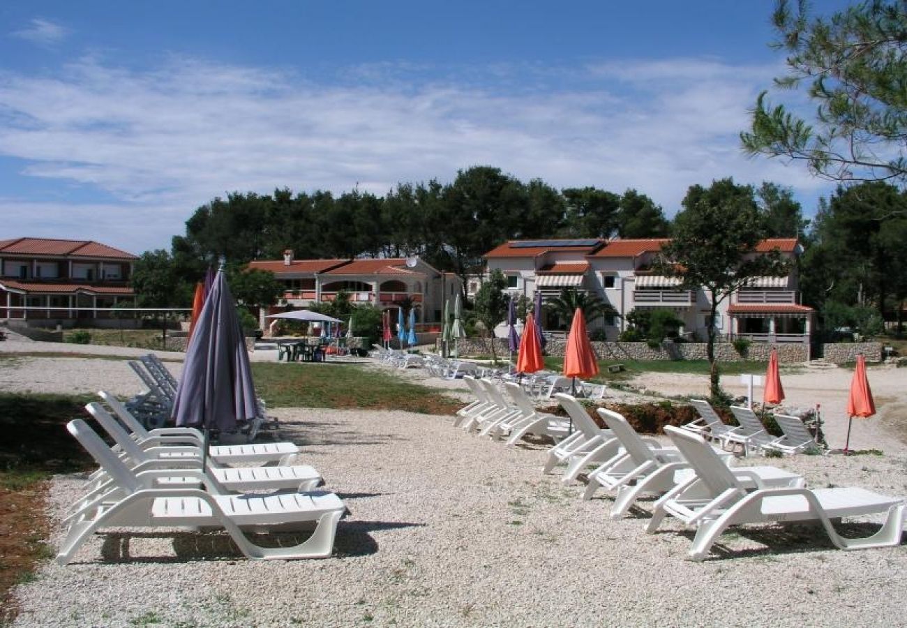 Ferienwohnung in Vir - Ferienwohnung in Vir mit Meerblick, Terrasse, Klimaanlage, W-LAN (4595-5)