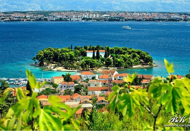 Ferienwohnung in Preko - Ferienwohnung in Preko mit Meerblick, Terrasse, Klimaanlage, W-LAN (4568-6) Ferienwohnung in Preko - Ferienwohnung in Preko mit Meerblick, Terrasse, Klimaanlage, W-LAN (4568-6)