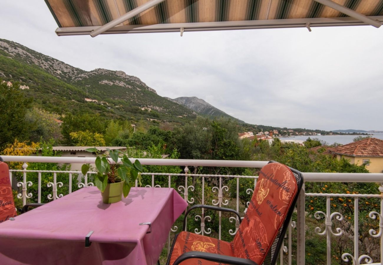 Ferienwohnung in Viganj - Ferienwohnung in Viganj mit Meerblick, Balkon, Klimaanlage, W-LAN (3870-3)