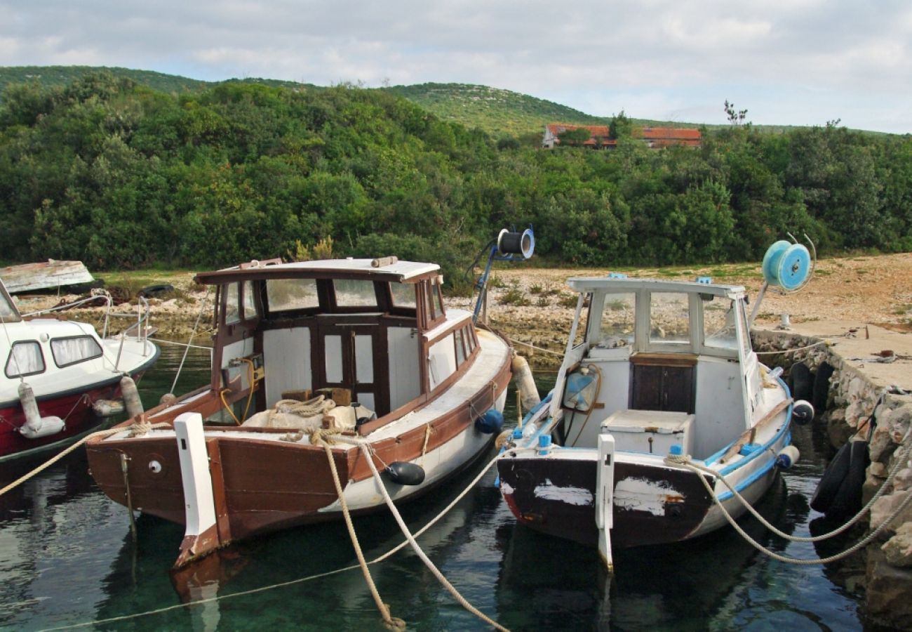 Ferienhaus in Pašman - Robinsonhaus in Pašman mit Meerblick, Terrasse, Klimaanlage, W-LAN (4654-1)