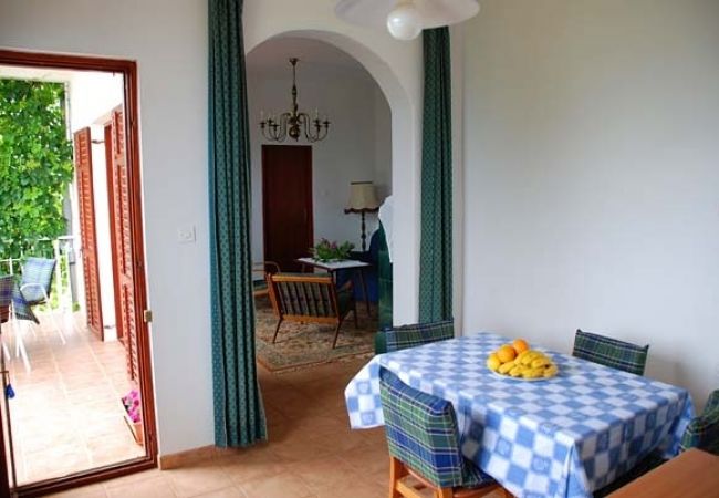 Ferienwohnung in Nevidane - Ferienwohnung in Neviđane mit Meerblick, Terrasse, Klimaanlage, W-LAN (4663-1) Ferienwohnung in Nevidane - Ferienwohnung in Neviđane mit Meerblick, Terrasse, Klimaanlage, W-LAN (4663-1)