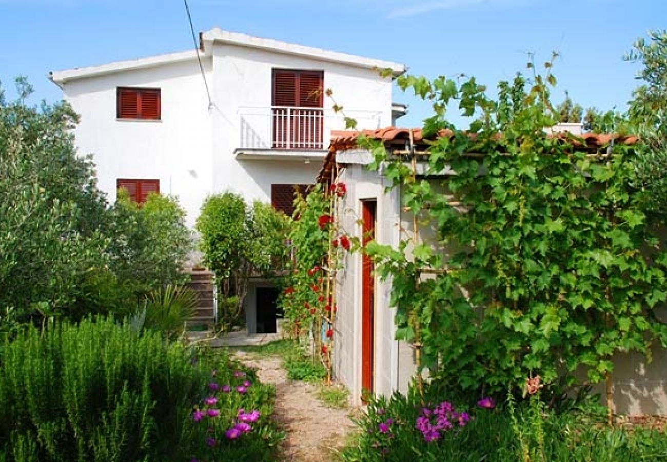 Ferienwohnung in Nevidane - Ferienwohnung in Neviđane mit Meerblick, Terrasse, Klimaanlage, W-LAN (4663-1)