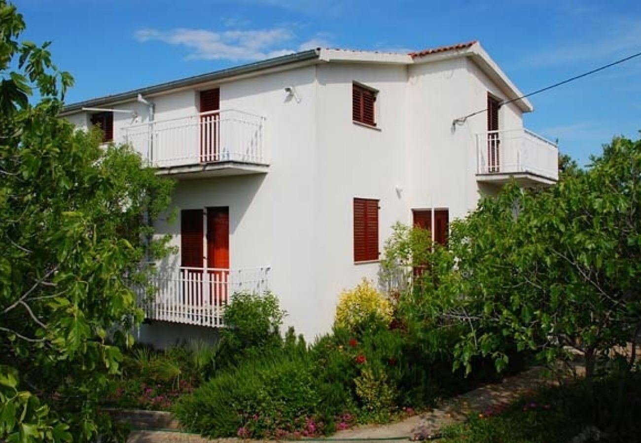 Ferienwohnung in Nevidane - Ferienwohnung in Neviđane mit Meerblick, Terrasse, Klimaanlage, W-LAN (4663-1)