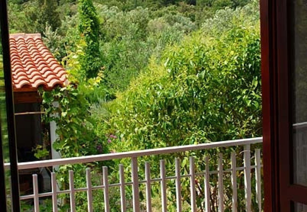 Ferienwohnung in Nevidane - Ferienwohnung in Neviđane mit Meerblick, Balkon, Klimaanlage, W-LAN (4663-3)