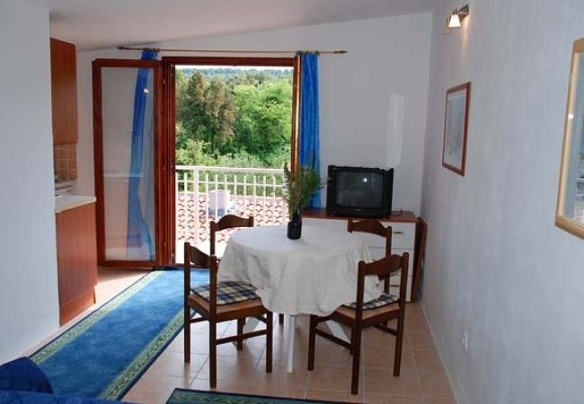 Ferienwohnung in Nevidane - Ferienwohnung in Neviđane mit Meerblick, Balkon, Klimaanlage, W-LAN (4663-4) Ferienwohnung in Nevidane - Ferienwohnung in Neviđane mit Meerblick, Balkon, Klimaanlage, W-LAN (4663-4)