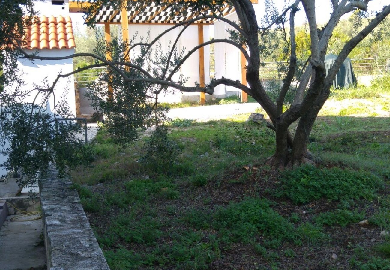 Ferienwohnung in Kali - Ferienwohnung in Kali mit Meerblick, Terrasse, Klimaanlage, W-LAN (4672-1)