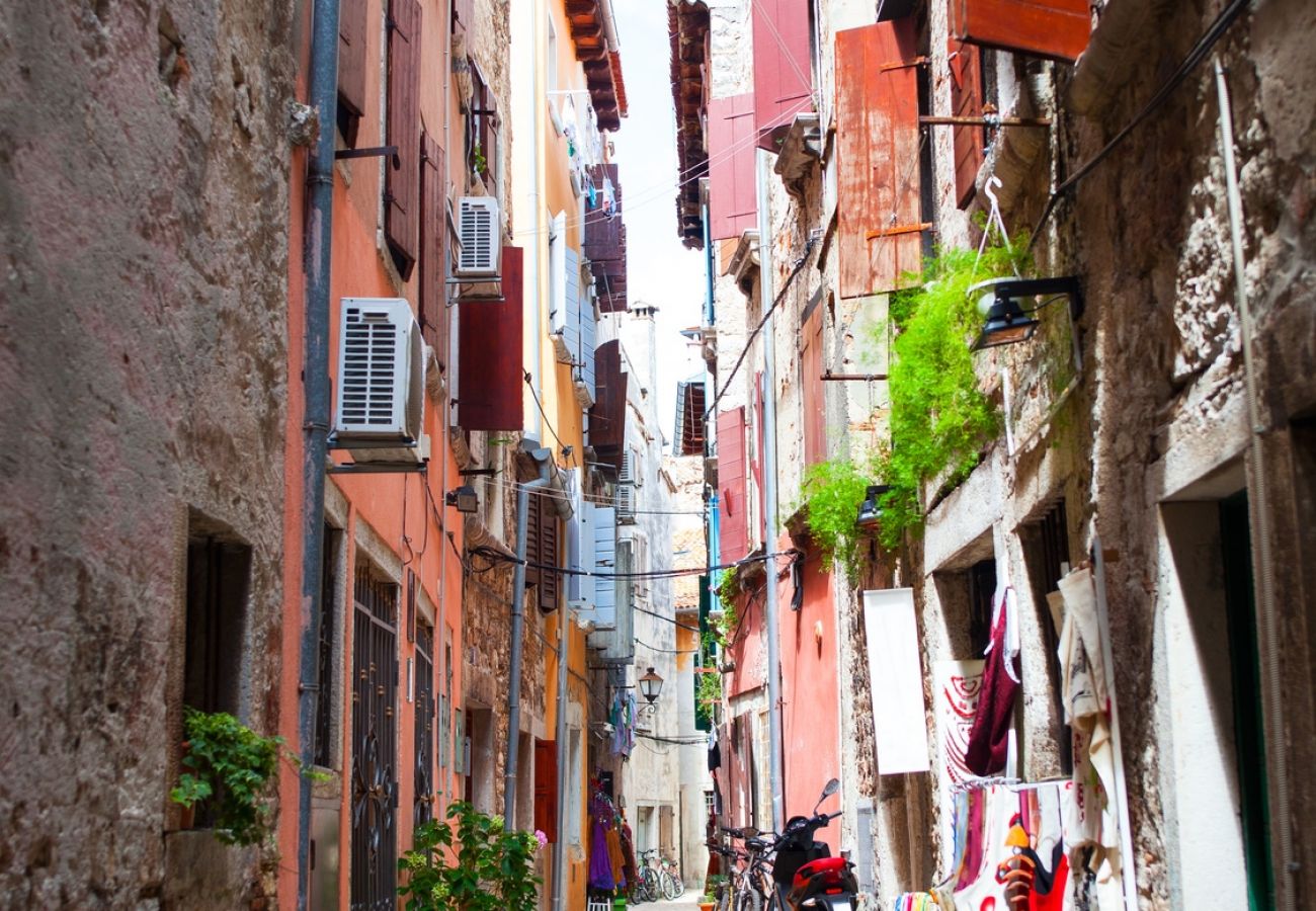 Ferienwohnung in Rovinj - Ferienwohnung in Rovinj mit Terrasse, Klimaanlage, W-LAN, Waschmaschine (4686-1)